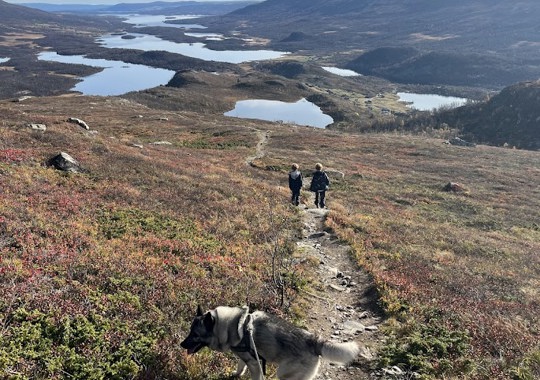 Nøsakampen Furulund Valdres