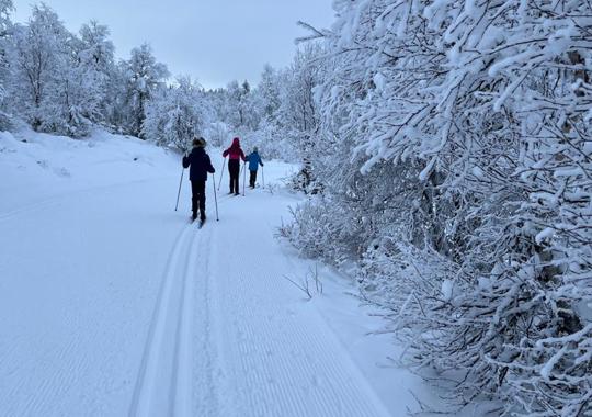 Langrenn Valdres Røn Furulund