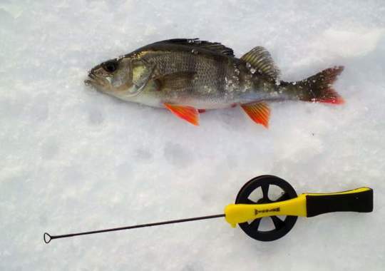 Isfisking Ice Fishing Ijsvissen Furulund Pensjonat Røn Valdres